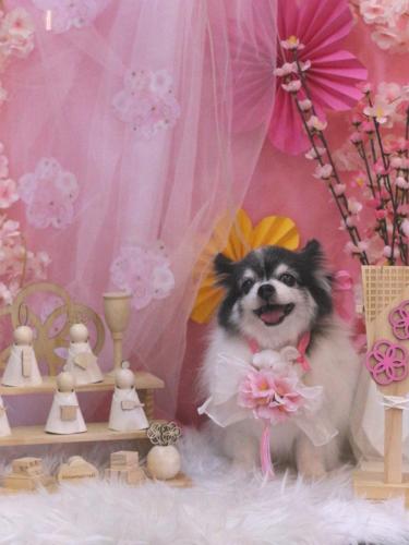 20250302ミルクくん